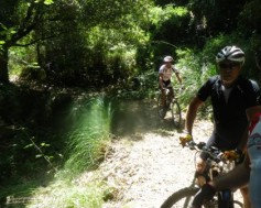 Escursione Mountain Bike sulle Madonie